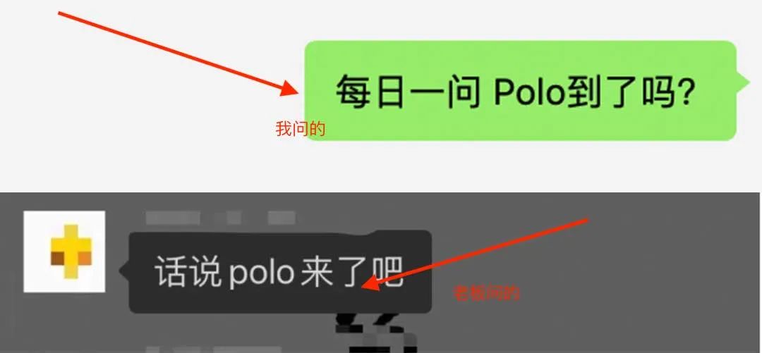 店庆大促销,拉夫劳伦polo国内价格