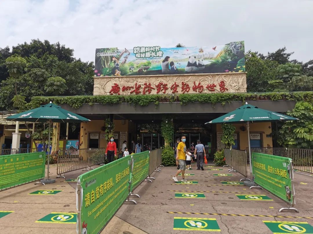 最新广州长隆野生动物园南门攻略,广州长隆动物园的白虎简介