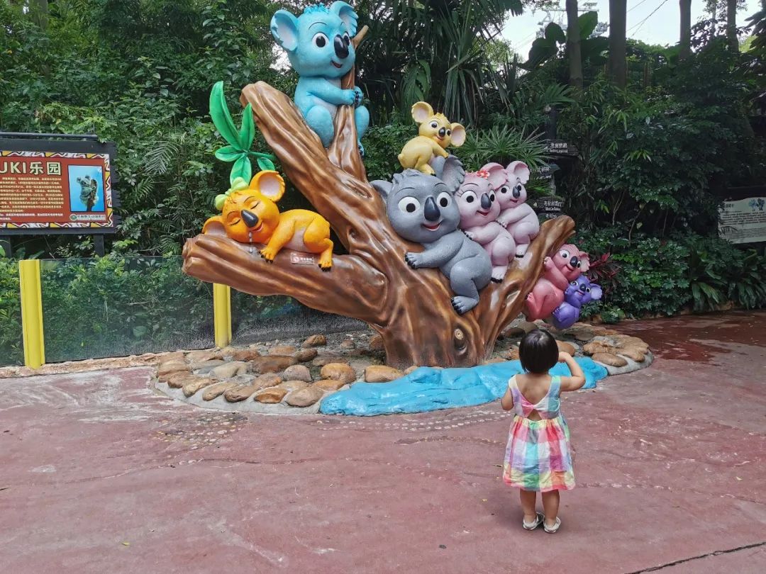 最新广州长隆野生动物园南门攻略,广州长隆动物园的白虎简介