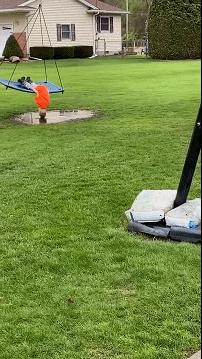 东方希望牧业最新招聘信息,东方希望畜牧有限公司招聘