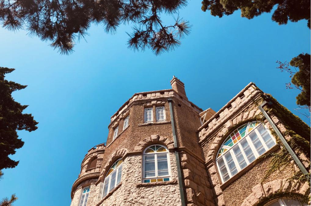 均温20℃的海滨老城，紫色泡桐花美得像国外，现在去性价比超高