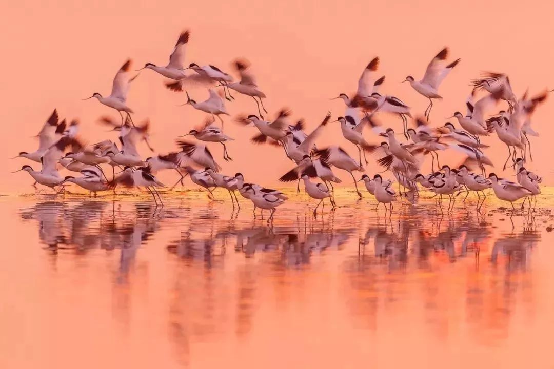 盐城最厉害的勺子,盐城铜勺子