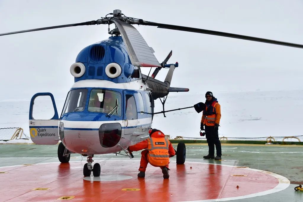 南极洲“绿雪”涌现,帝企鹅:泥土是什么?
