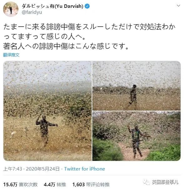 22岁的摔角女星自杀身亡。这背后，又是一场网络*力暴**的悲剧