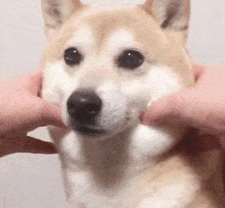 100条真实的冷知识,有哪些非常冷门的冷知识