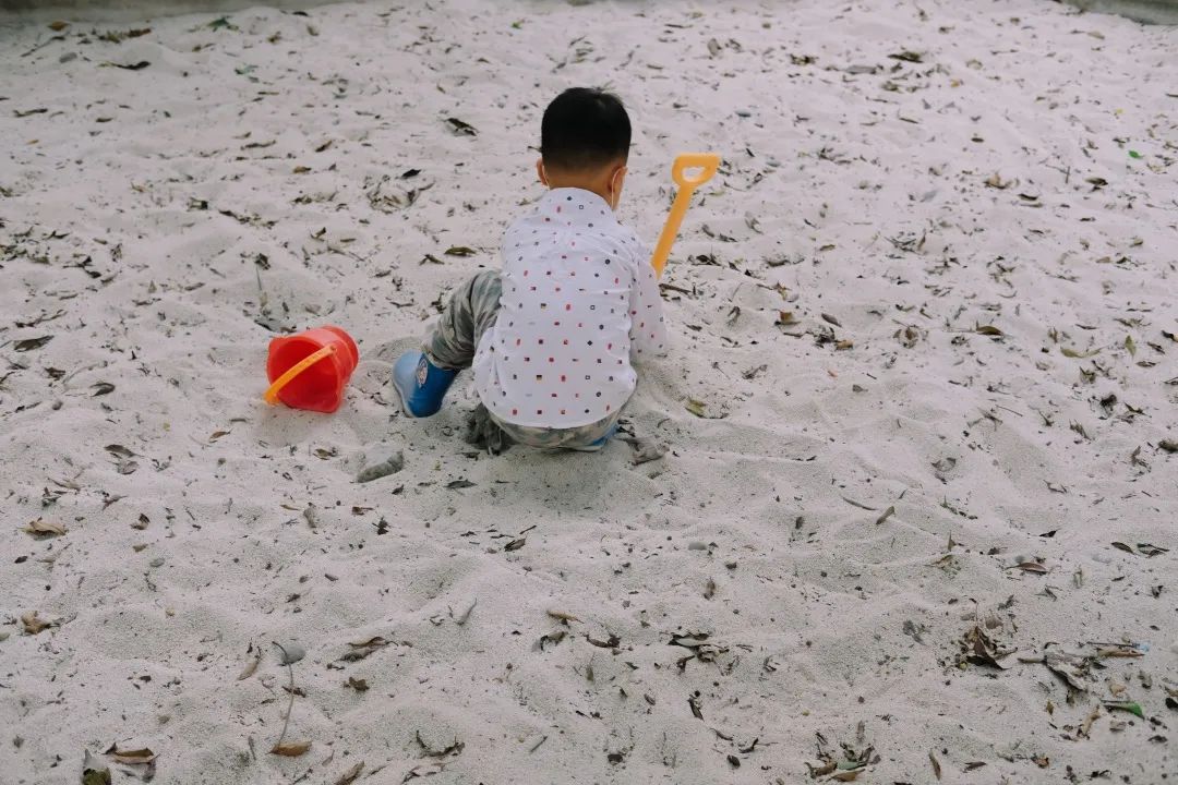 少陵路是属于哪个街道,三年前少陵路