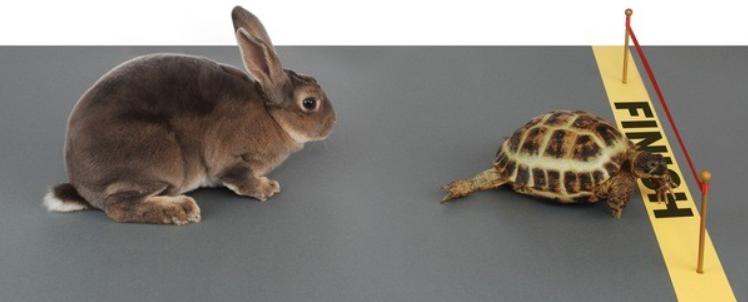 小宝贝解封后秒变“神兽”，这里有魔力啊