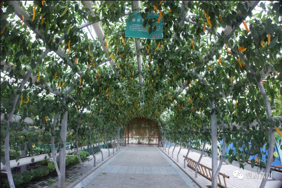 富川慢城,富川慢城花海攻略