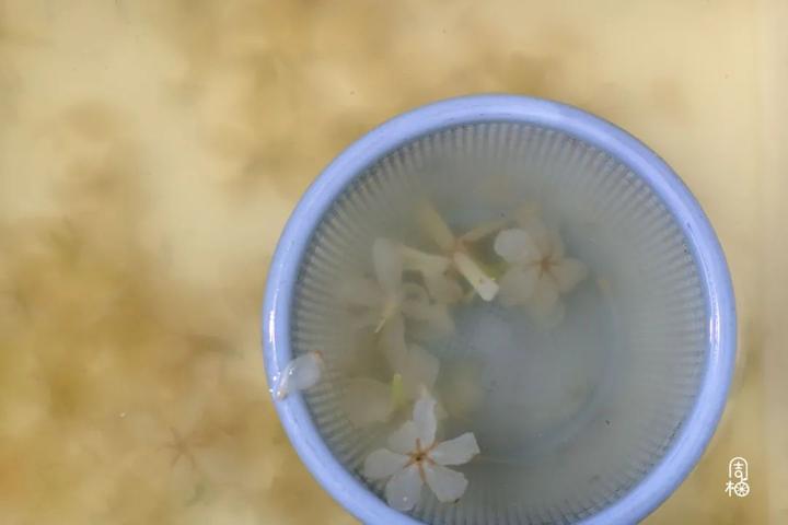 山支花如何炒好吃,清炒山支花的家常做法