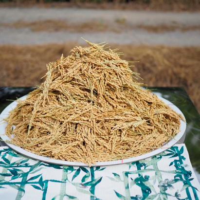 这个周末你又在玩什么手机游戏,这个周末你有什么新的体验