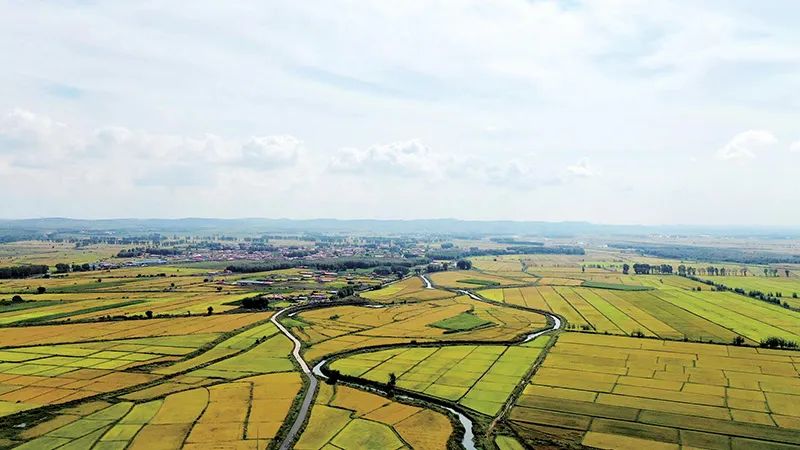爱上内蒙古味,爱上内蒙古味道