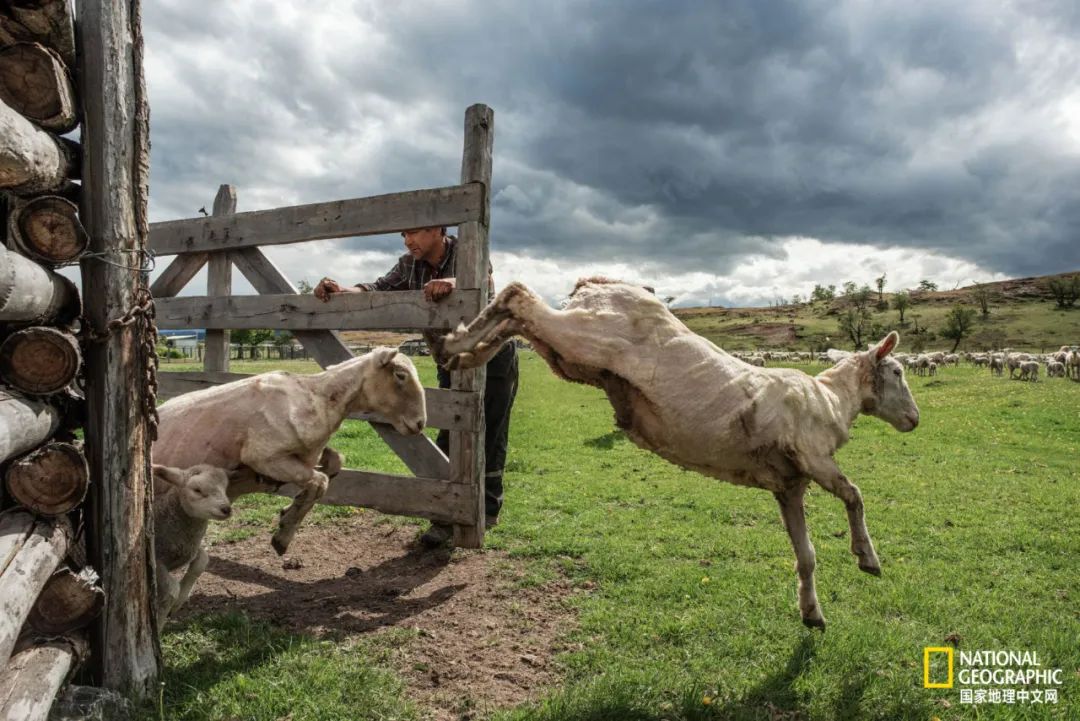 这对夫妇花巨资买下国家公园，居然白送？
