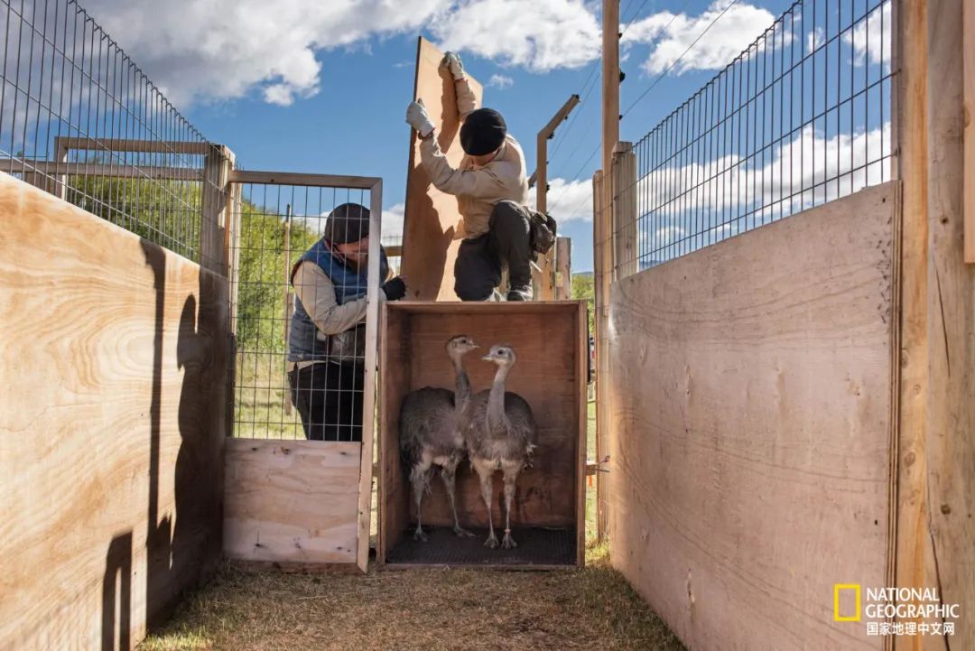 这对夫妇花巨资买下国家公园，居然白送？