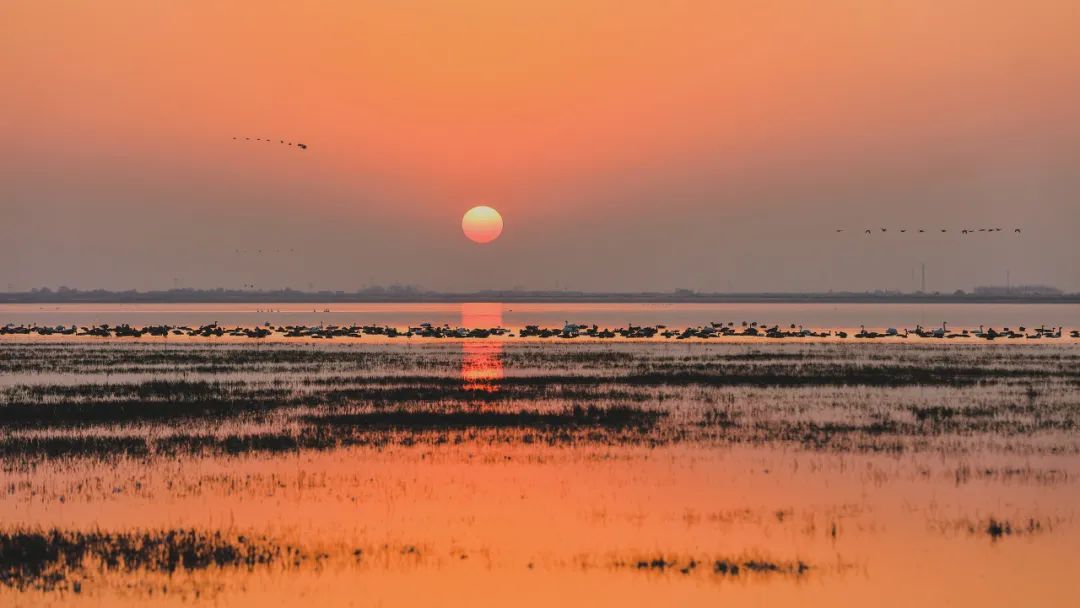 网红最值得去的10大城市,中国最没名气的省