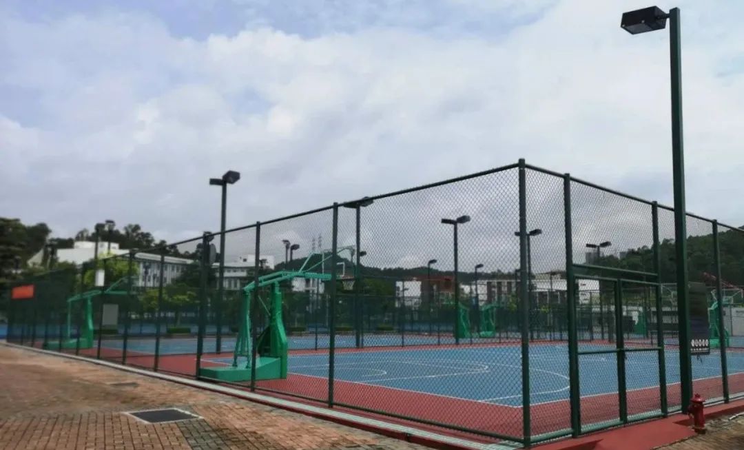 龙岗体育中心最新消息,龙岗大运体育中心改造