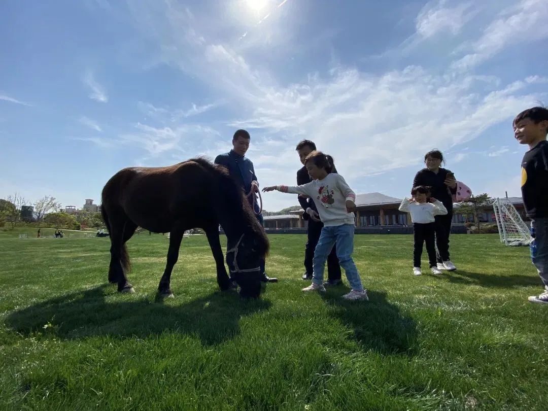 挖到马云同款海景酒店！人均300+住全庭院式房间，赠亲子下午茶