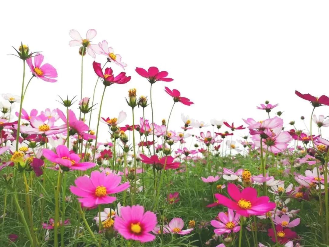 余杭景点打卡攻略旅游线路,余杭城西一日游攻略