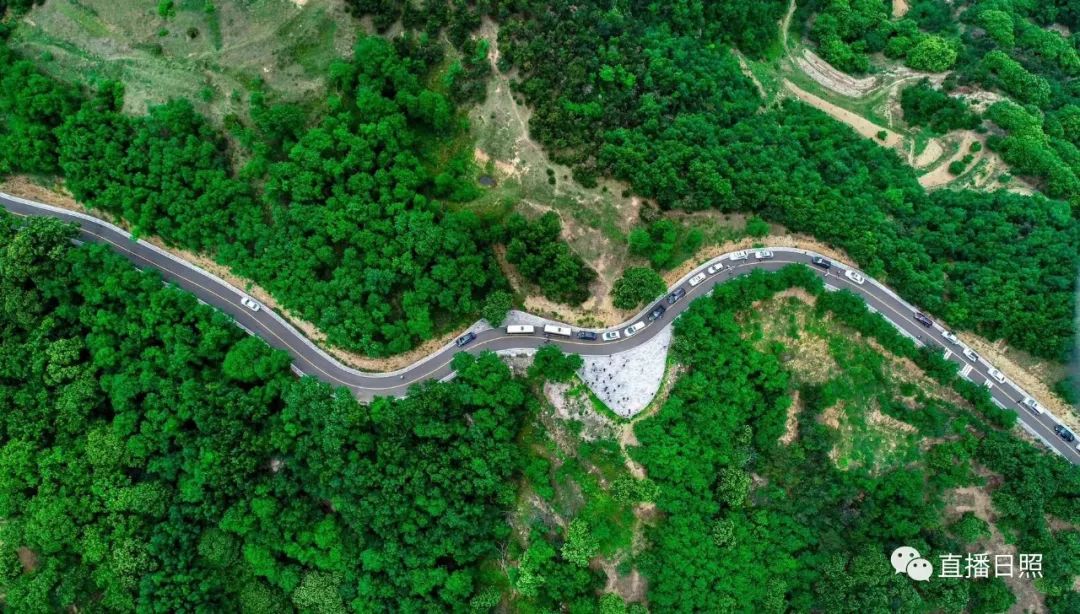 日照最美的区县,日照城市真美