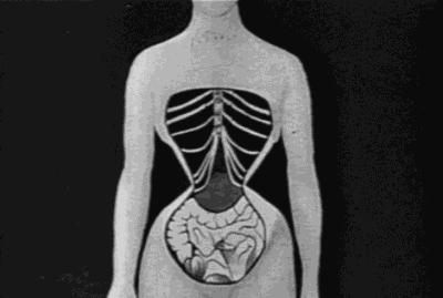 【体育保健康复委员会】束腰？还是健身届的“裹脚布”？