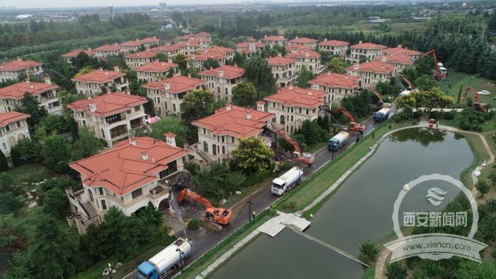 让客来时所见一山碧绿万物竞发