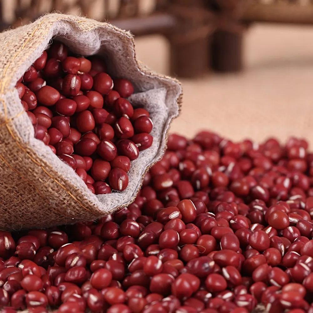 薏仁可以健脾祛湿吗,薏米能治脾胃湿热吗