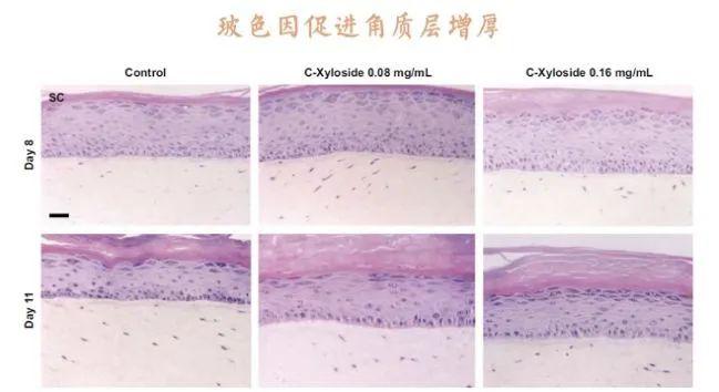 深度测评报告2019,48个小时深度测评