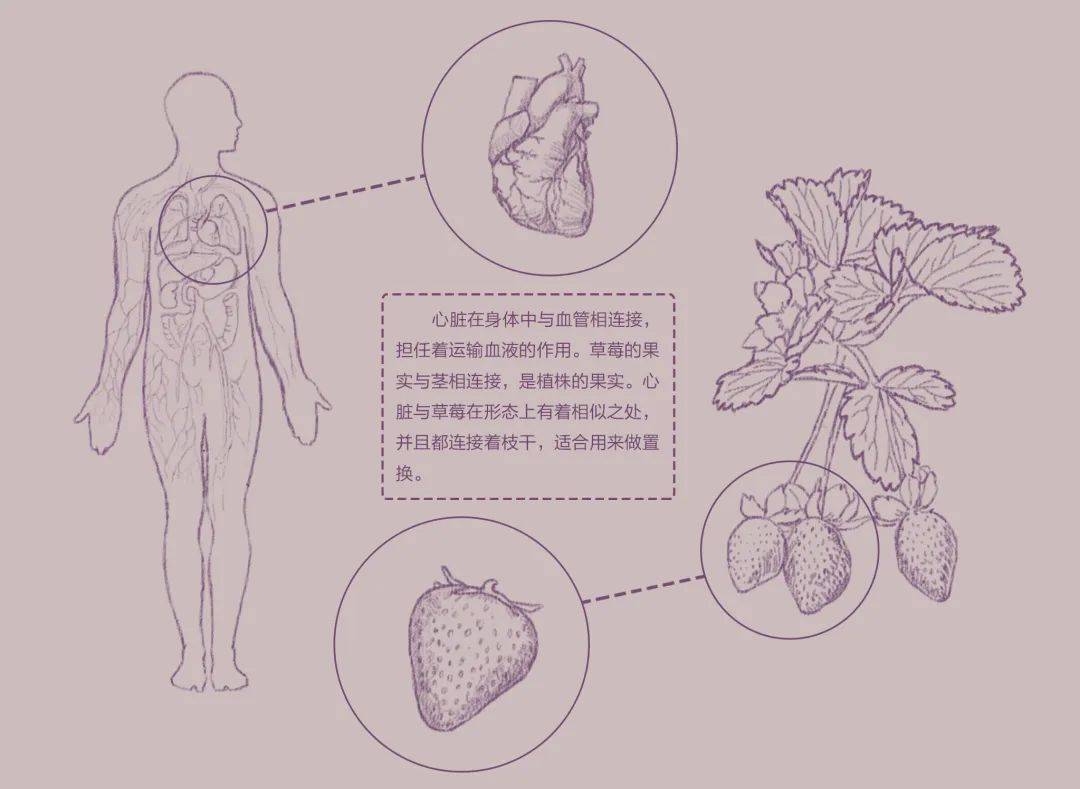 2021中央美术学院设计作品,中央美术学院2020毕业展作品