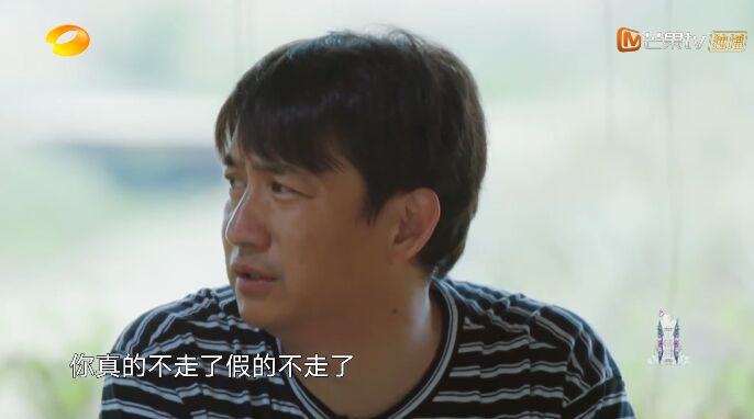 何炅和黄磊现状,何炅黄磊日常生活