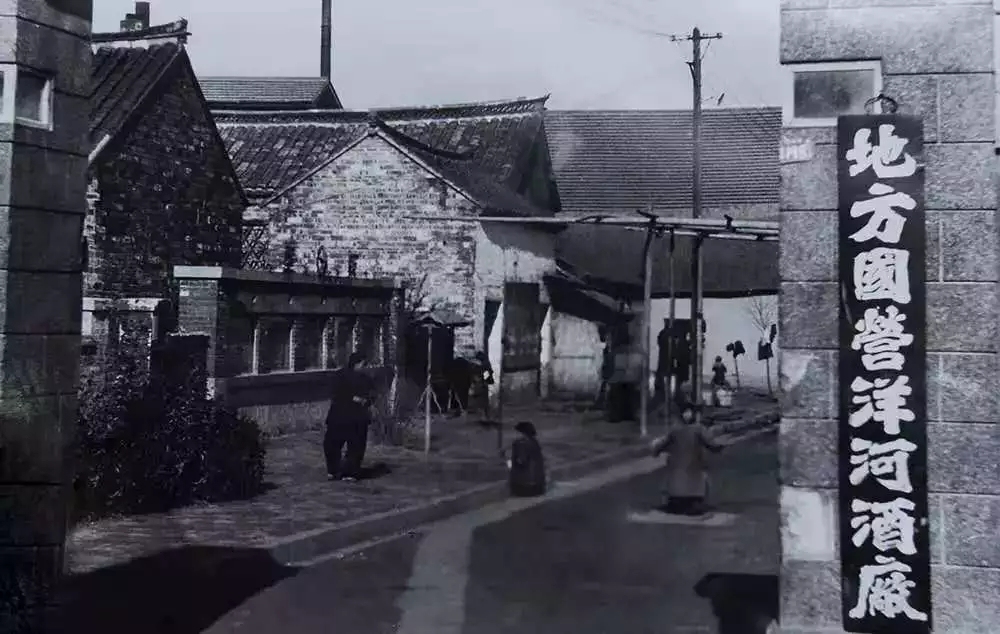 千年运河全新启航,中国洋河第一酒镇