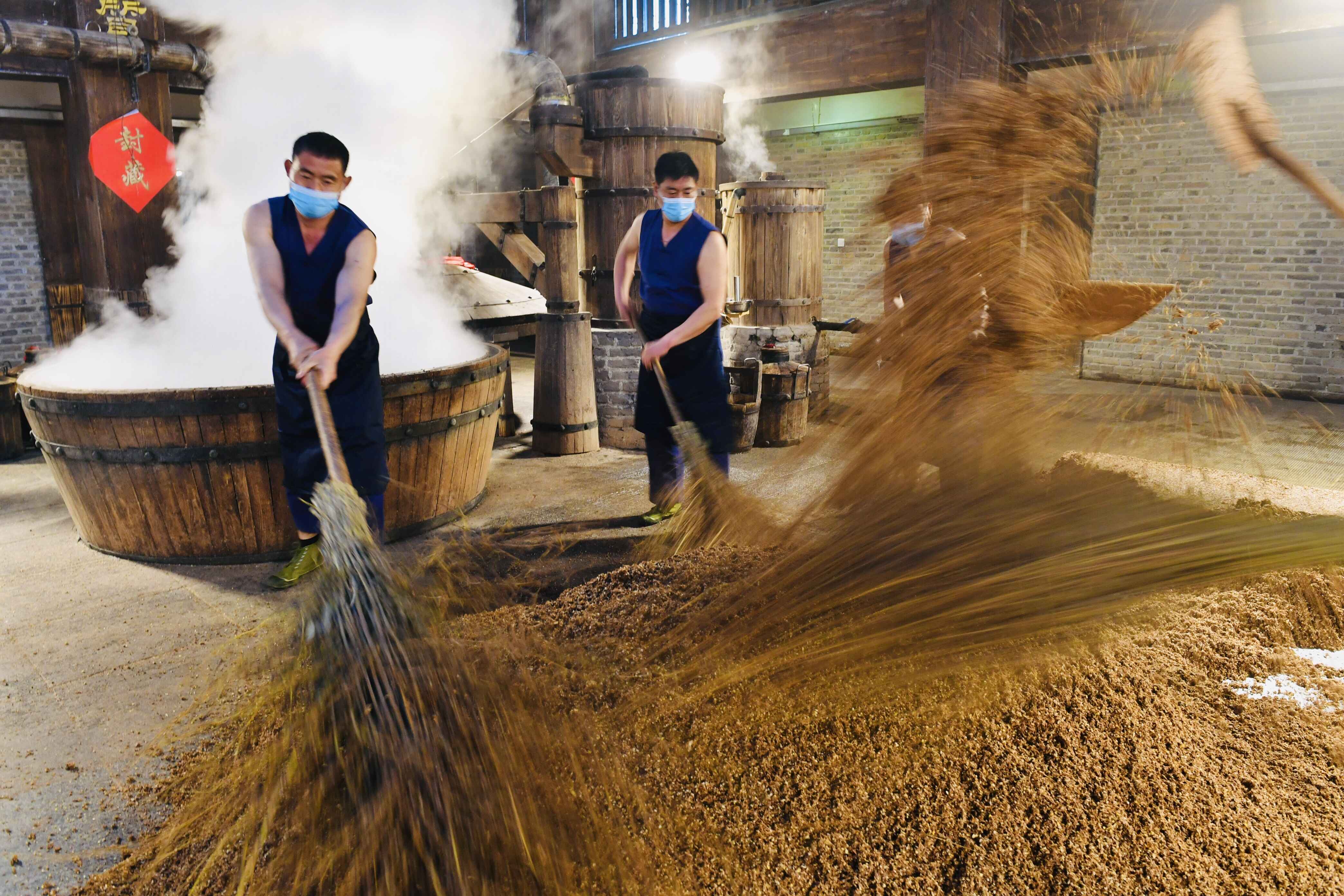 千年运河全新启航,中国洋河第一酒镇