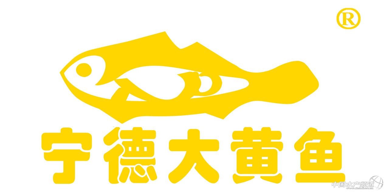 全规格都在跌！丰产≠丰收，养得越多赔得越惨！饲料厂、流通商，谁能挽救大黄鱼？