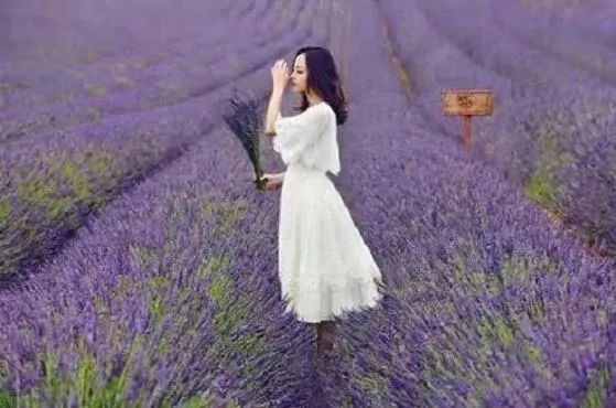 「限量特价」39元抢购价值5000元的2020年北京联合游览通票1套，可畅游京城百家景区，不贴照片不实名，不限周末，省钱还省心