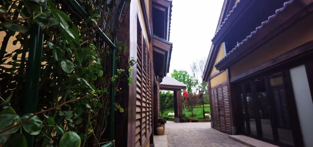 赴日学习,赴日本学习唐代建筑