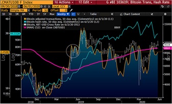 彭博8月加密货币展望报告,彭博美元走势分析
