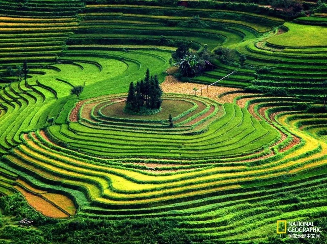 芒种至仲夏始人生丰收时,芒种至仲夏始介绍