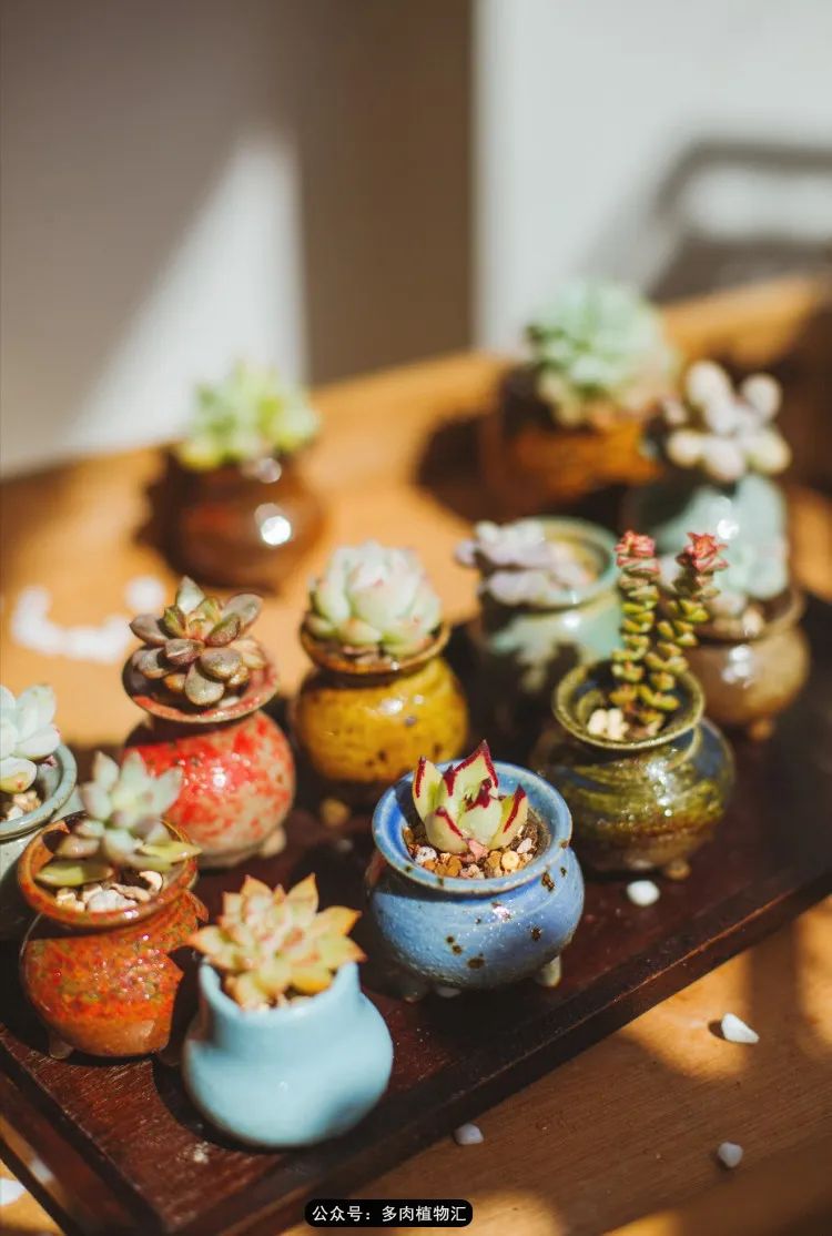 专注于自己喜欢的事情,专注于自己喜爱的事情