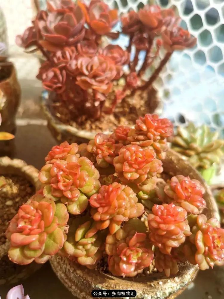 专注于自己喜欢的事情,专注于自己喜爱的事情