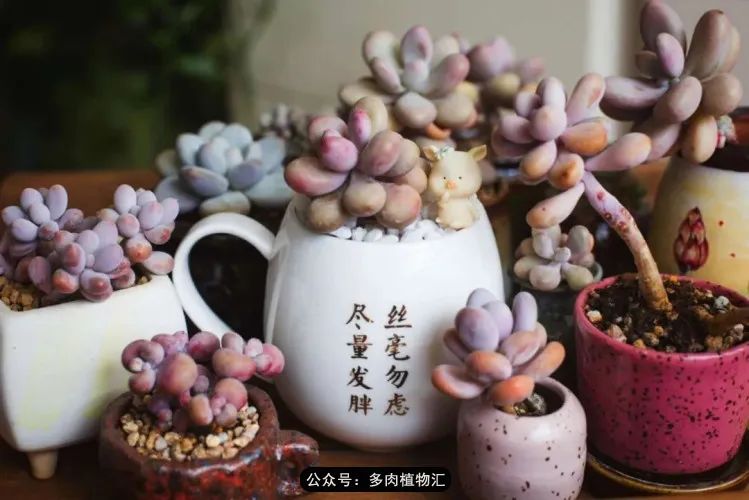 专注于自己喜欢的事情,专注于自己喜爱的事情