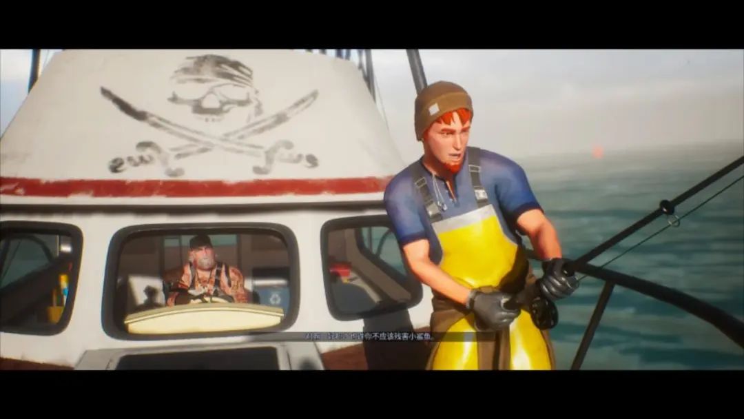 食人鲨图文评测,吃零食鲨鱼