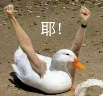 创青春全国创业大赛,2019年创青春创业大赛