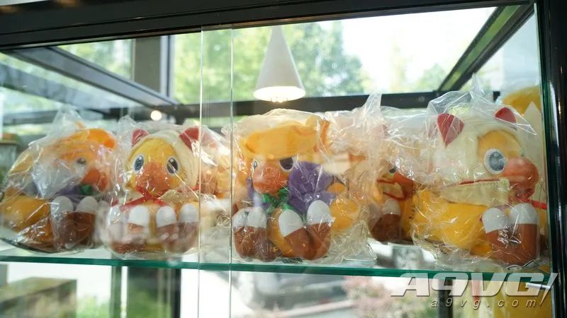 secafe北京pop店探店粉丝之地,secafe