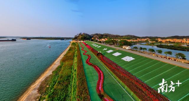 城市三水新机遇｜新乡村发展美丽经济打开湾区第二空间