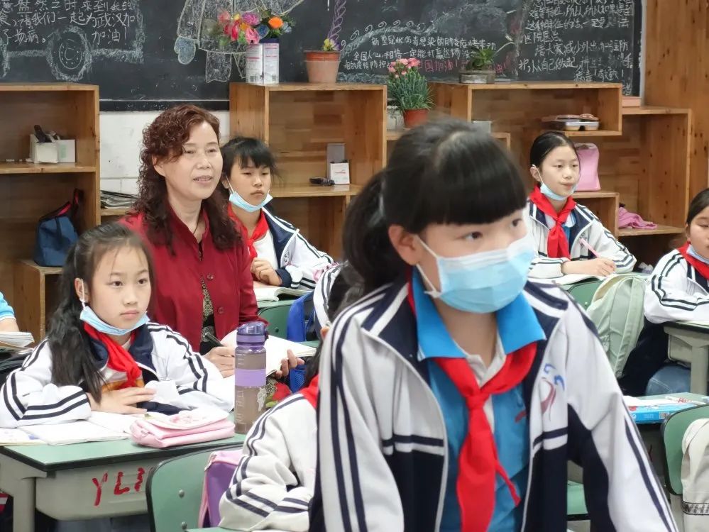 常青树教育培训,常青树怎么养护和管理