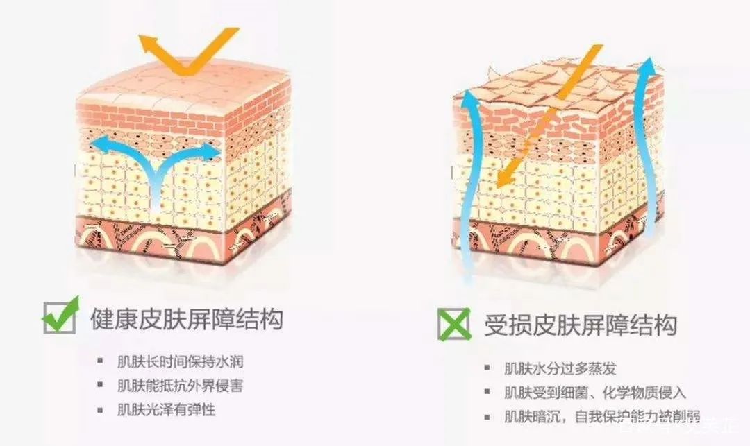 黄金美容最好的方法,黄金美容靠谱吗