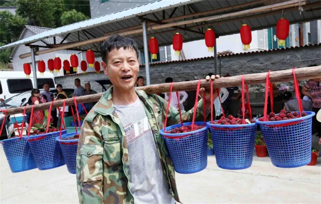 周末去哪儿⑫|王牌推荐，出行不愁！富阳山乡鲜得太“上头”啦！