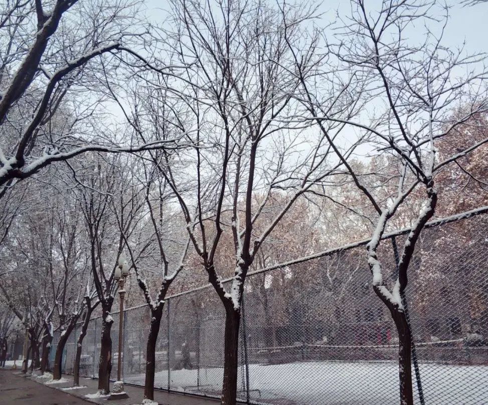 毕业季我的初中生活,毕业季我和我的校园时光