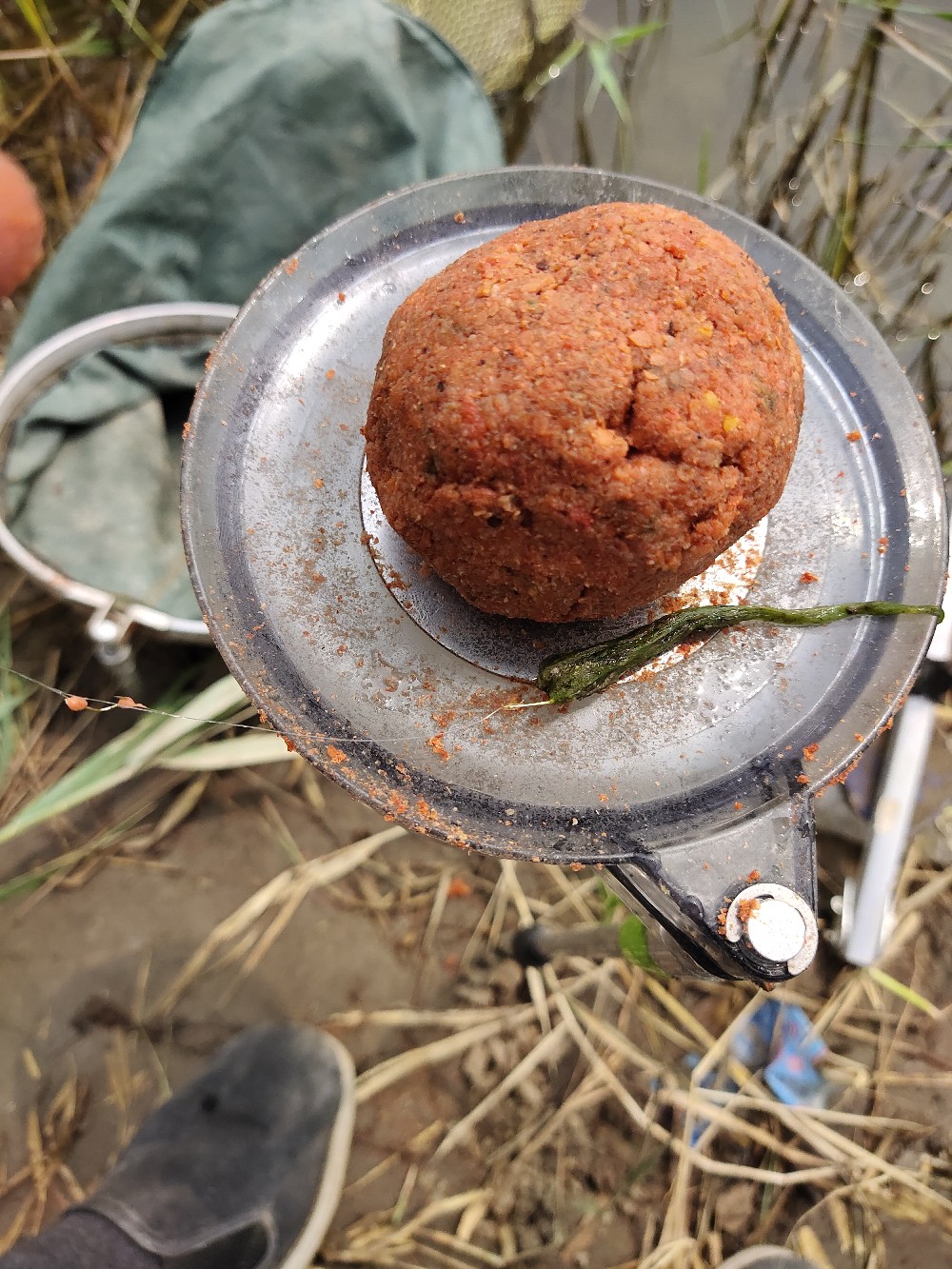 野钓水底有水草调漂最佳方法,野钓水底有枯水草