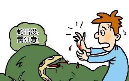 【药师说药】蛇出没？蛇毒血清来相助！
