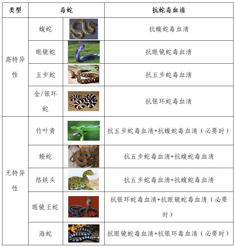 【药师说药】蛇出没？蛇毒血清来相助！