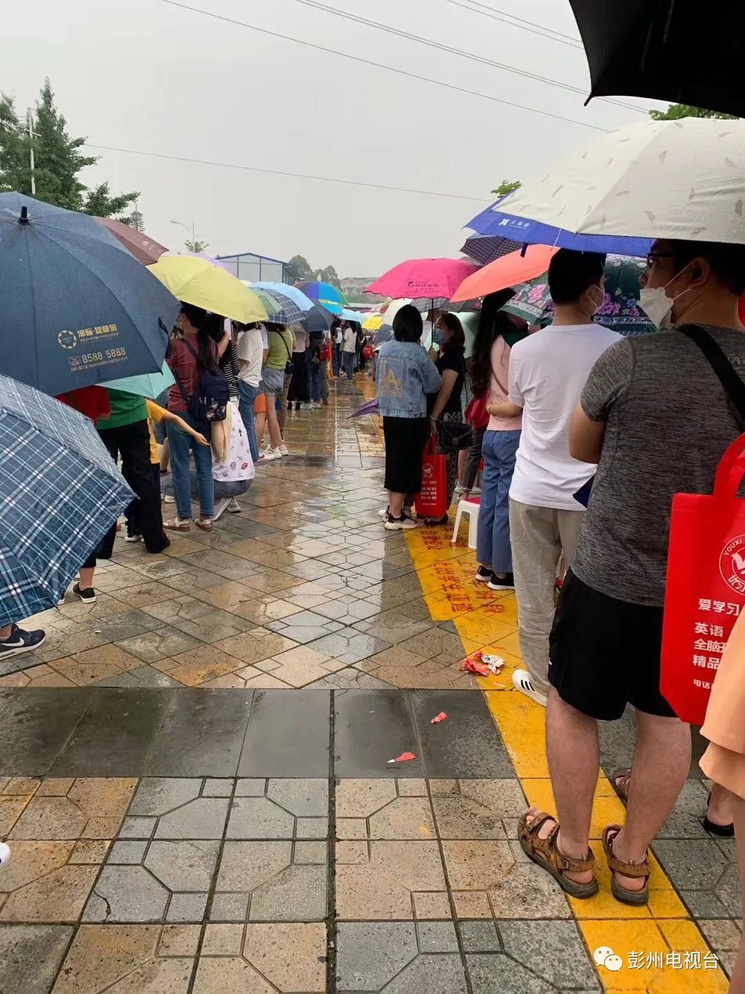 鐗′腹鏂板煄寤剁灏忓,鑿忔辰鐗′腹鏂板煄鍦ㄥ摢涓皬瀛︿笂